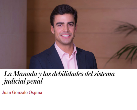 LA MANADA Y LAS DEBILIDADES DEL SISTEMA JUDICIAL