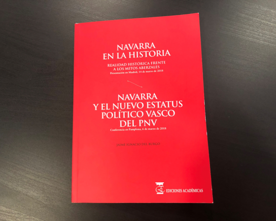 NAVARRA EN LA HISTORIA de Jaime Ignacio del Burgo